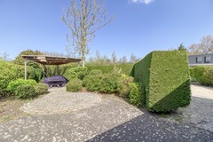 Liguster 77 Nieuwvliet-10.jpg